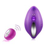 Vibrador control portátil