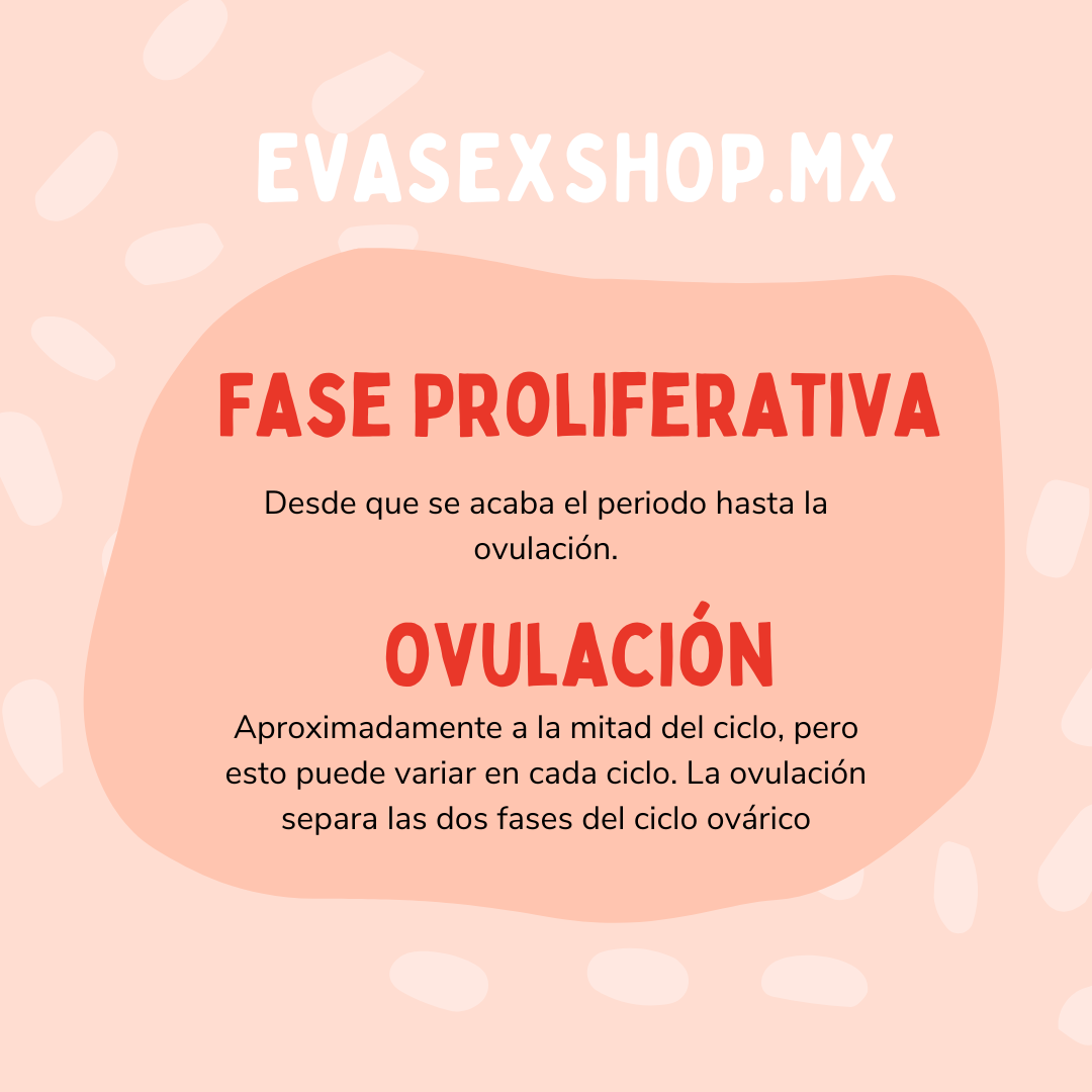 FASE DE OVULACION